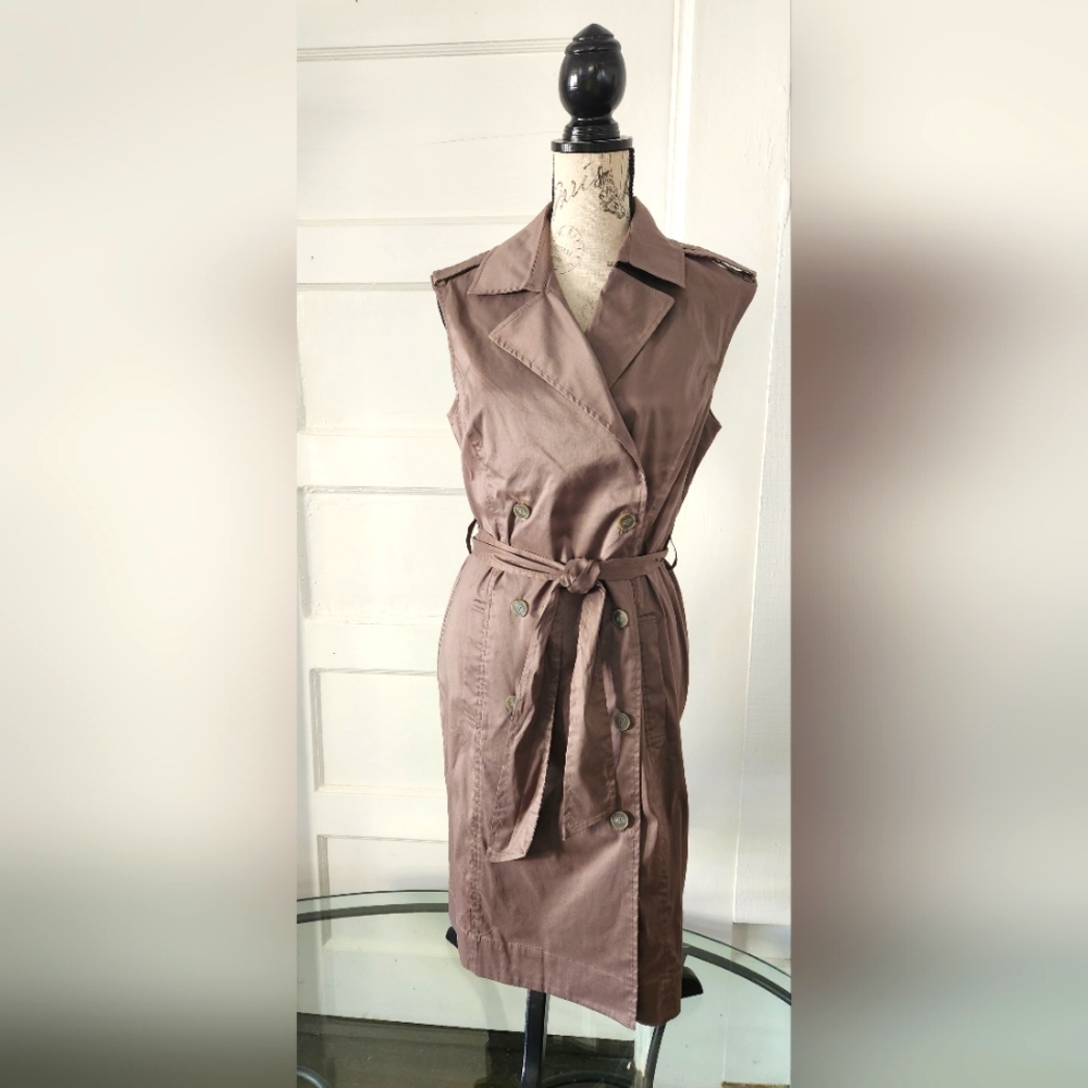 Ann Taylor women's dress size 10